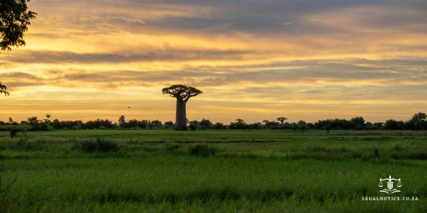 Publish a J193 Notice to Creditors in Limpopo